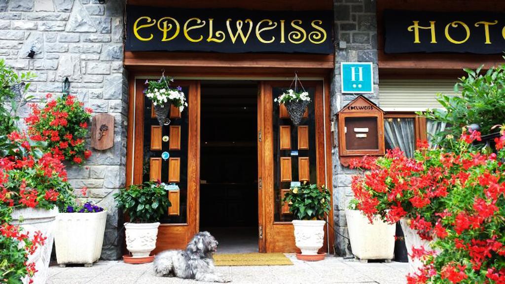 Edelweiss Hotel 톨라 외부 사진